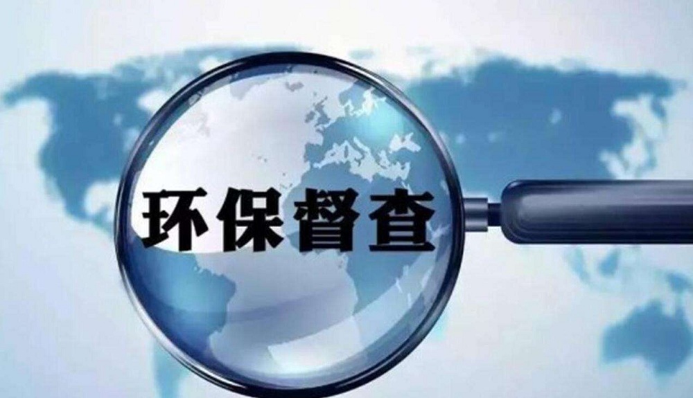 上海鲜花港 - 郁金香